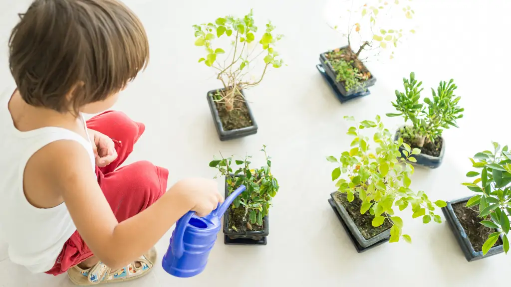 Nature Exploration - Fun and Creative Homework Ideas for Early Learners