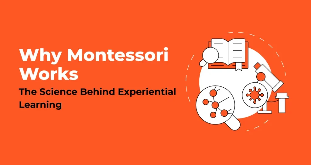 Why Montessori Works: The Science Behind Experiential Learning